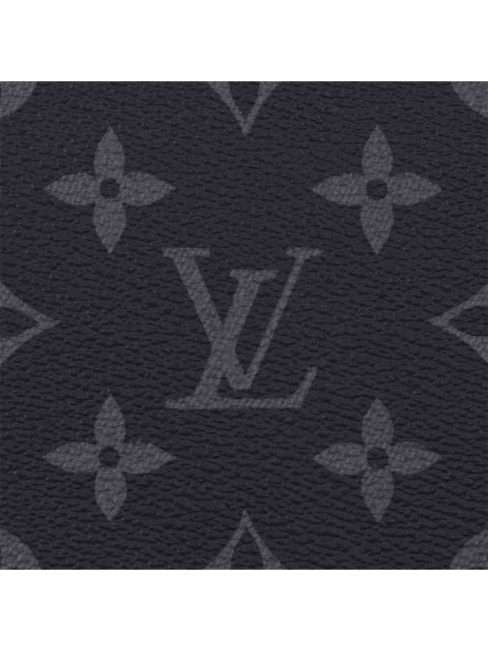 Органайзер Louis Vuitton Zippy